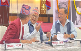 लिङदेन, कमल थापा र सुवेदी एउटै मञ्चमा